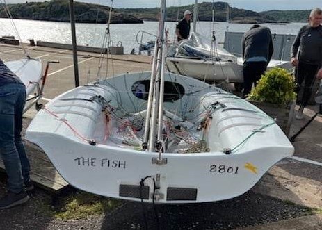 3.The Fish AUS 8801